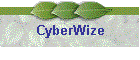 CyberWize