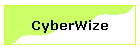 CyberWize