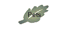 Pets