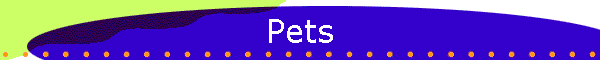 Pets