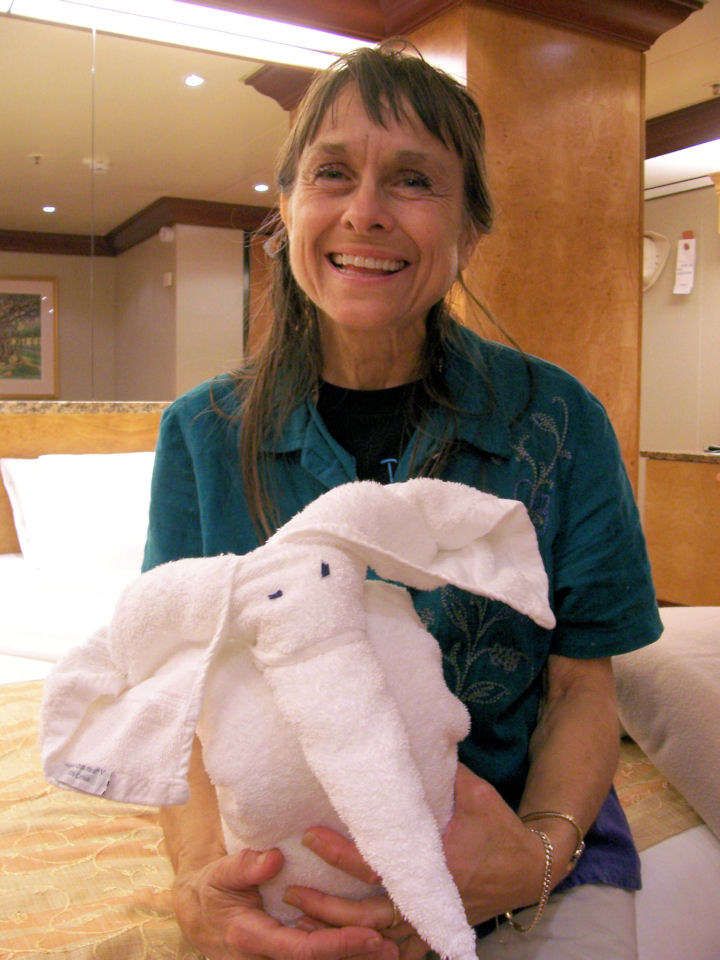 ship's cabin with towel elephant